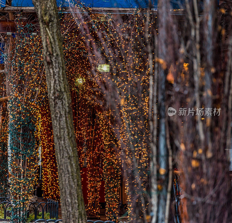 纽约圣诞树上的圣诞彩灯。路灯。曼哈顿，纽约，美国