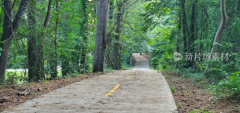 在佐治亚州亚特兰大蜿蜒穿过树木的人行道