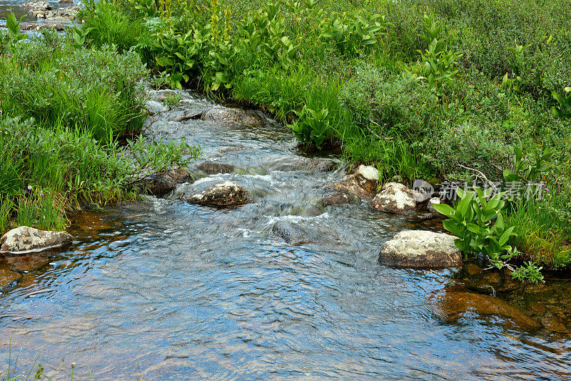在一个多云的夏日，一条宽阔湍急的小溪从山上流下来，底部是岩石，高高的河岸长满了茂密的草。