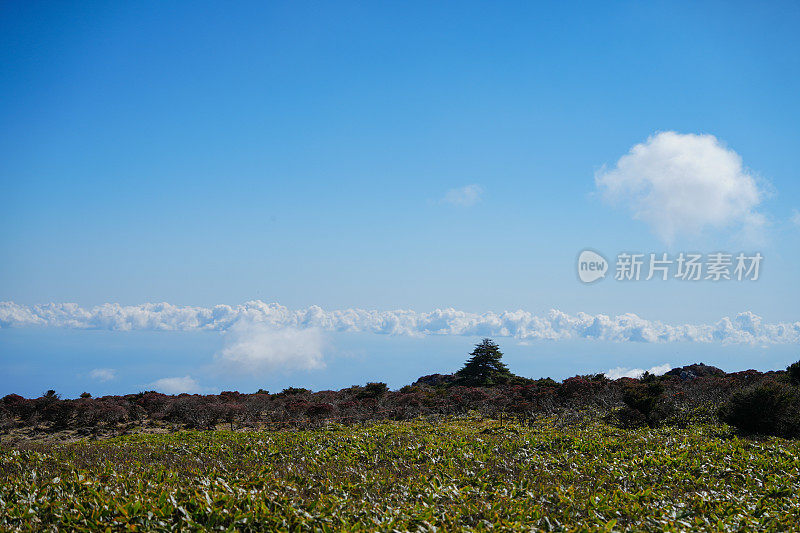 高山上的云(济州汉罗山)