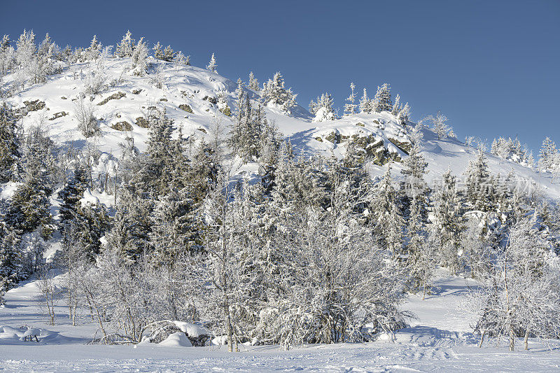 从滑雪坡在Kvitfjell高山滑雪胜地在挪威