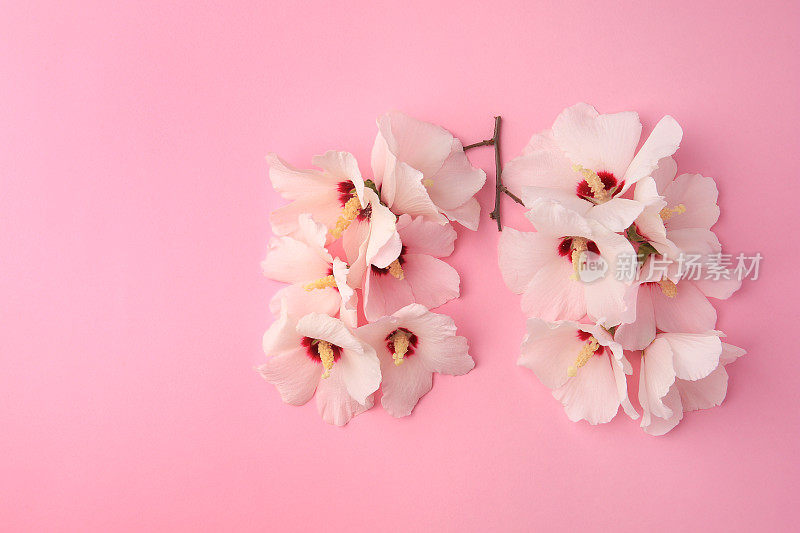 人的肺由粉红色背景上的白花构成，平躺着。文本空间