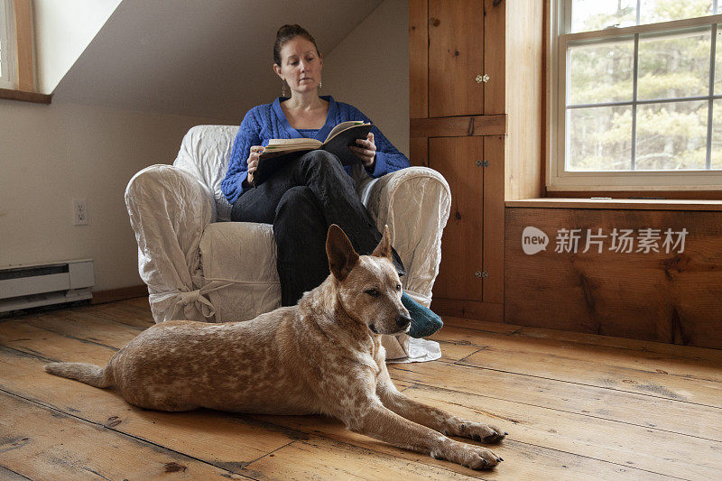 澳大利亚牧牛犬和家人一起放松