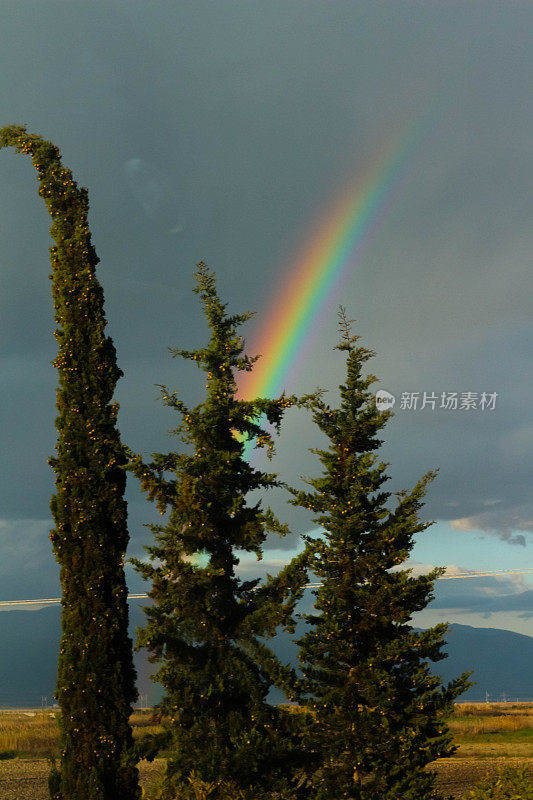 捕捉大自然的调色板:多云天空中的彩虹