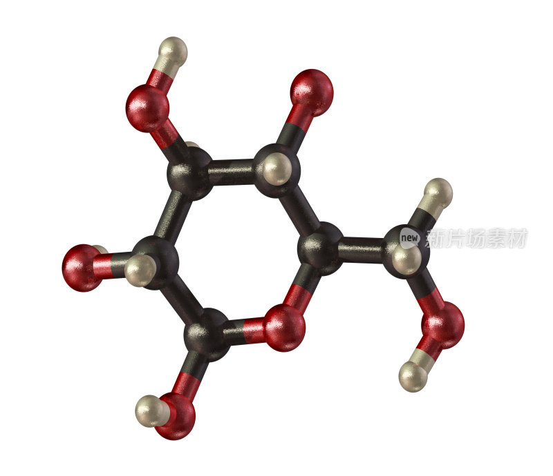 葡萄糖模型