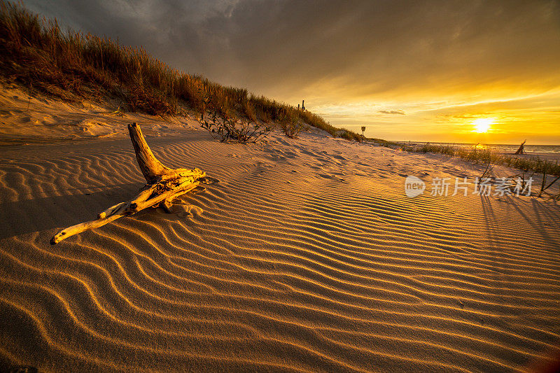 波兰北部海滩上的沙丘