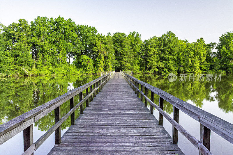 阿拉巴马州的池塘和木桥