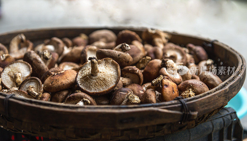 香菇——亚洲文化的食用菌蔬菜食品