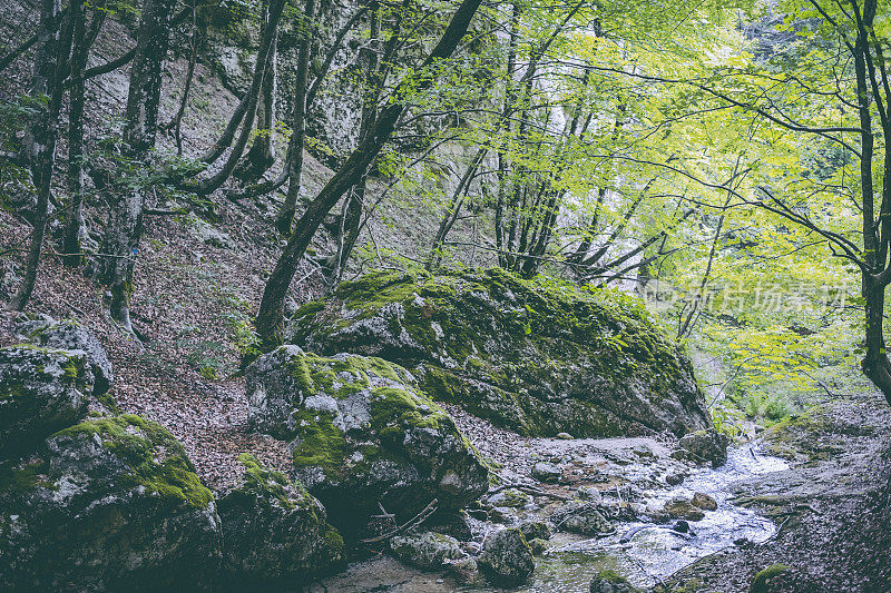 山区河流