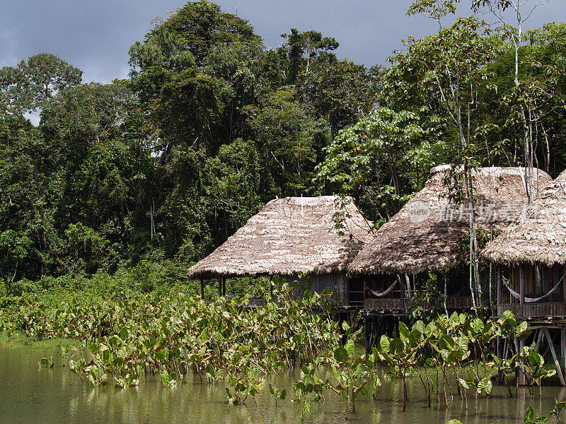 在热带丛林，亚马逊，厄瓜多尔的房子