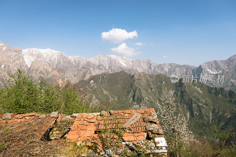 阿尔卑斯山脉