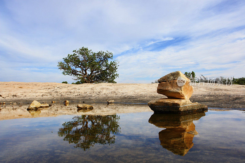 沙漠景观水树石反射