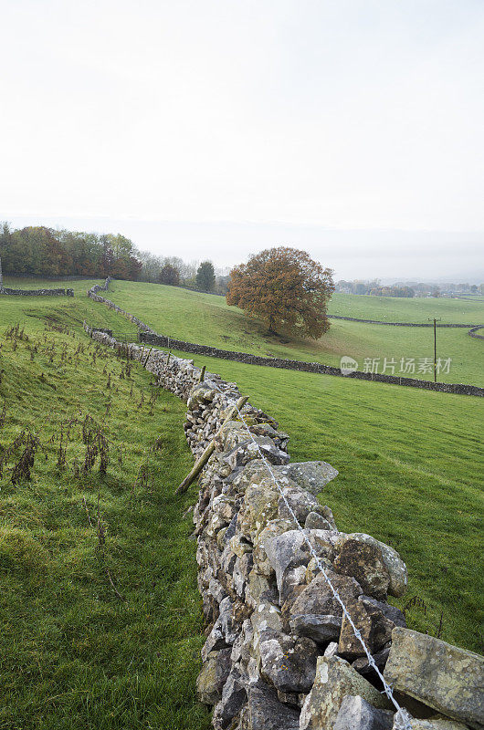 英国湖区:干石墙和带刺铁丝网围栏