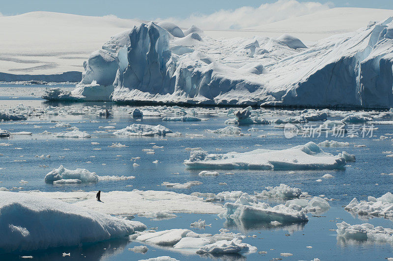 南极的冰山形成与孤独的企鹅