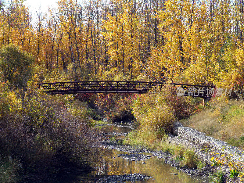 秋天的Muskoseepi公园的人行桥