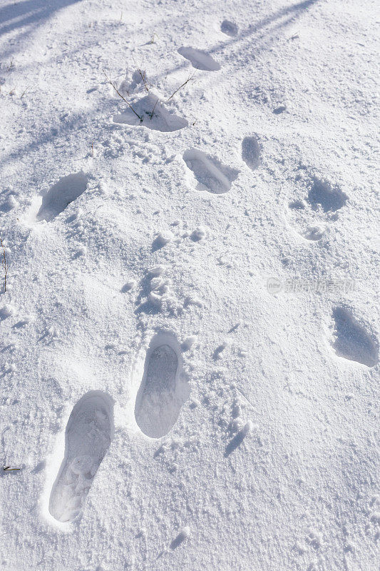 脚步在雪地