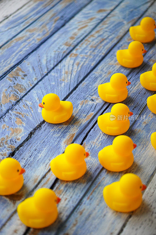 在蓝色木制背景上，一群黄色橡皮鸭朝一个方向移动，而另一只鸭子没有跟着，而是朝相反的方向移动。