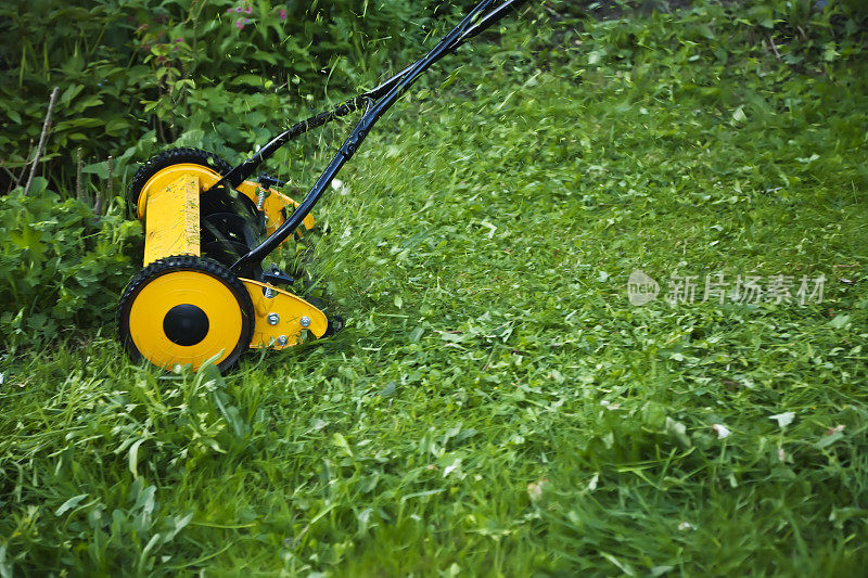 黄色便利的割草机在绿色草坪在夏天。