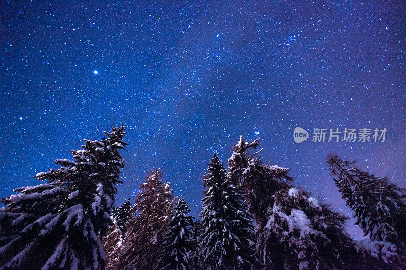 银河般的夜空和白雪覆盖的树木