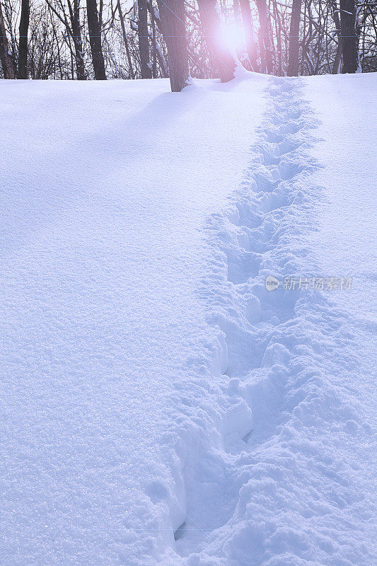 雪地上的足迹