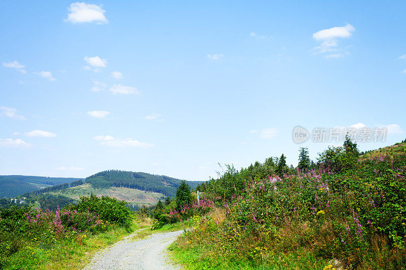 Rothaargebirge的乡村滑雪跑步和徒步小径