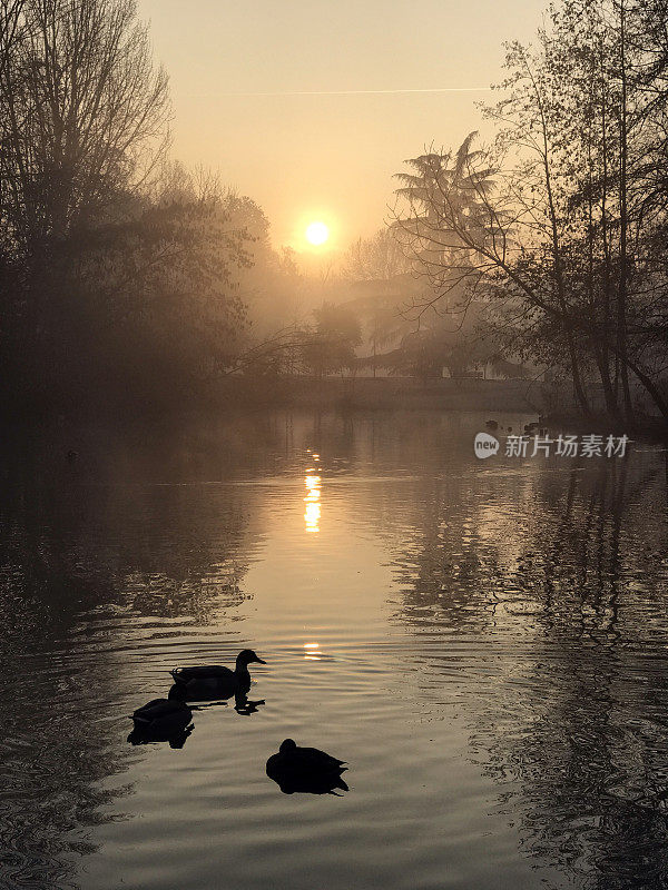 秋天的早晨在公园里