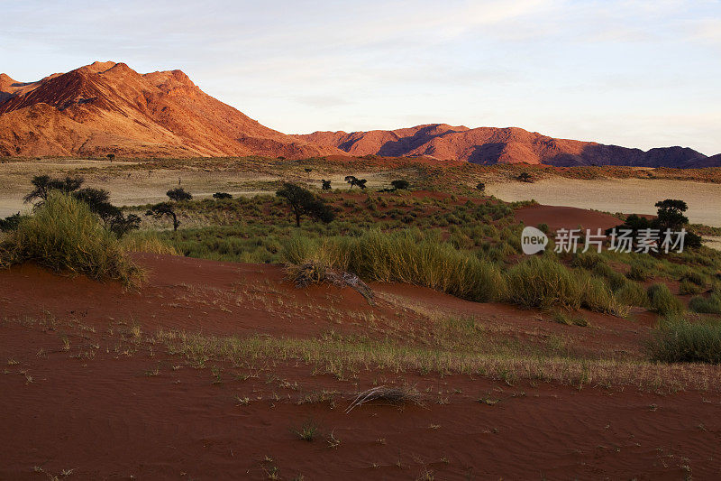 沙漠对天景观