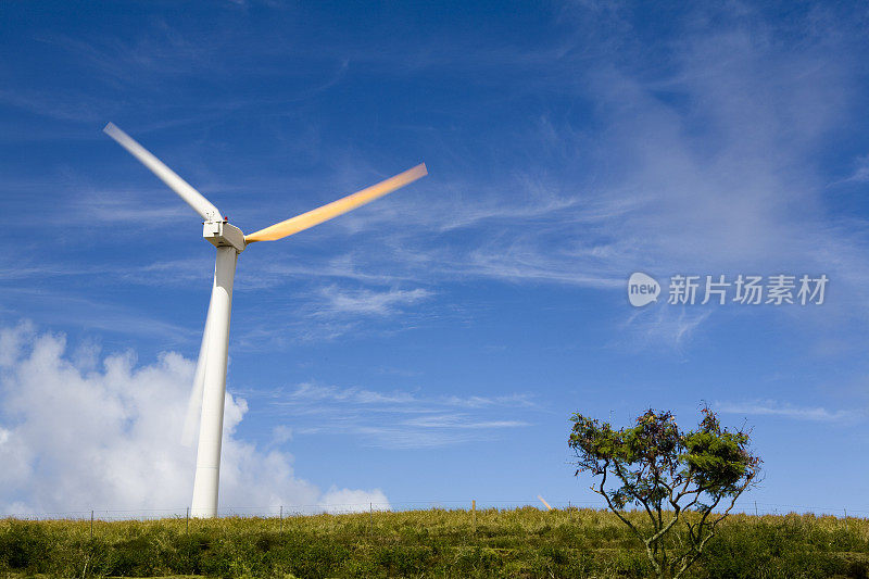 夏威夷风格的风能