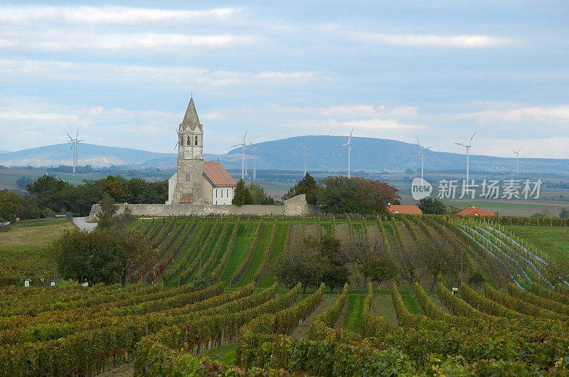 Wineyard在奥地利