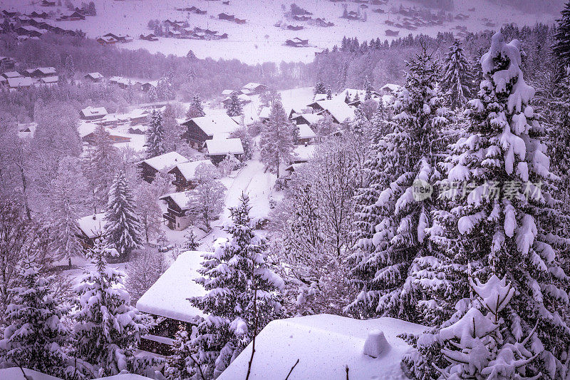 雪花落在Lenk身上