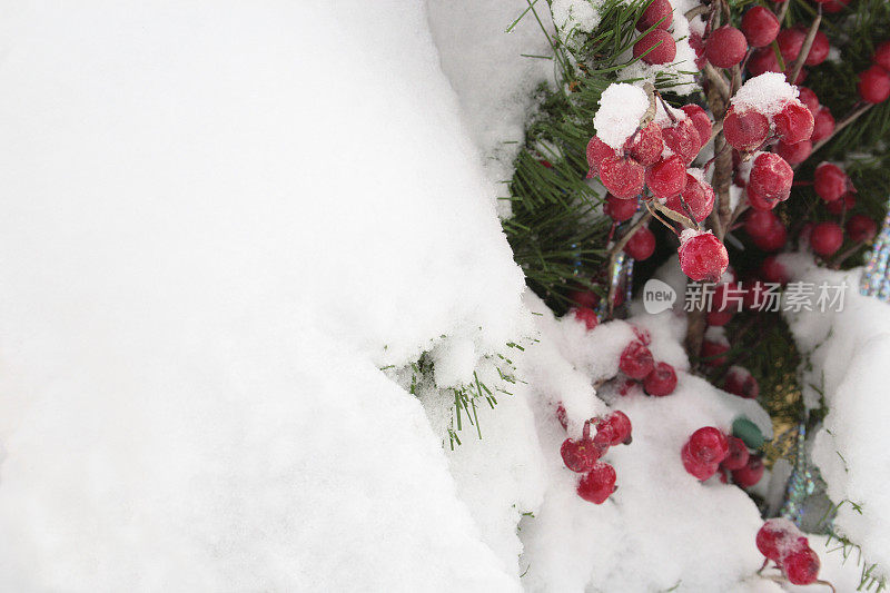 雪、浆果、花环