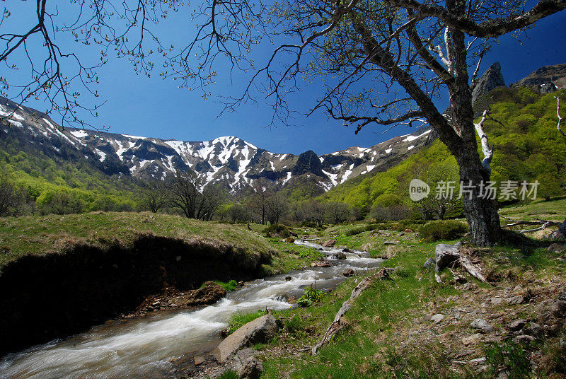 法国奥弗涅的多雷山的风景