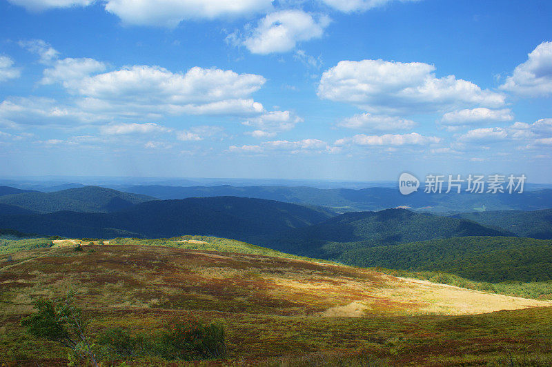 夏天山景观