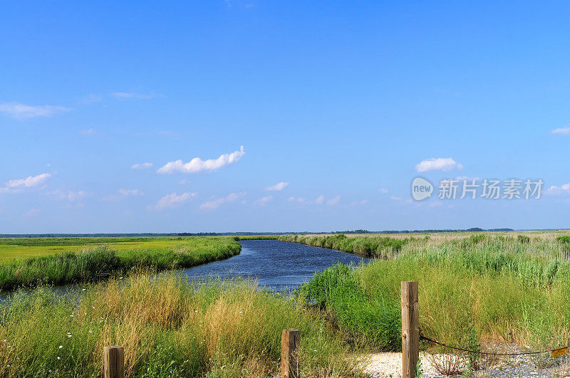 迪尔岛盐沼景观