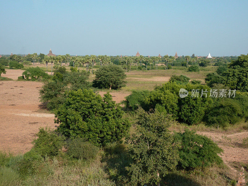 缅甸蒲甘寺庙,