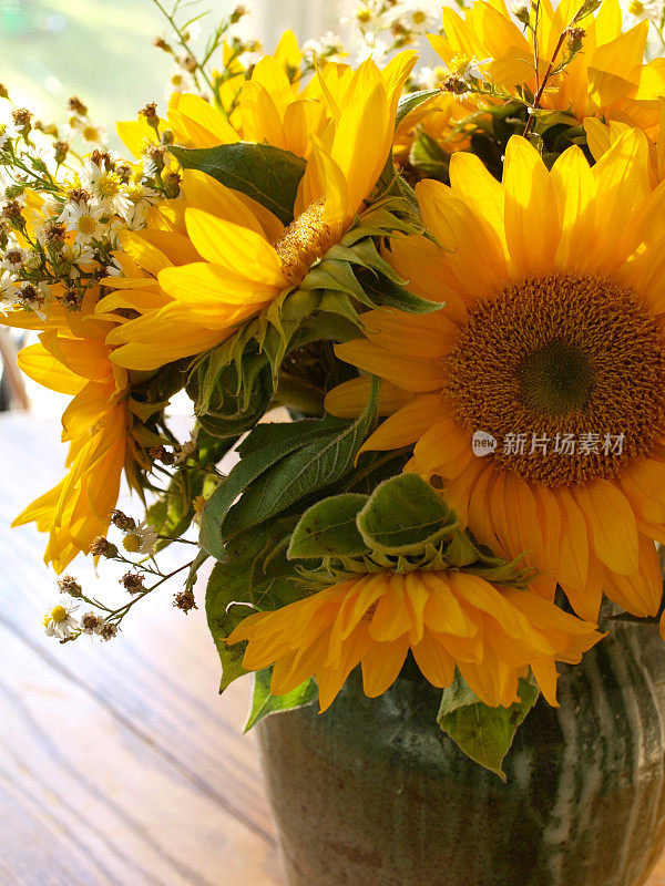 花瓶里被太阳亲吻的黄色向日葵