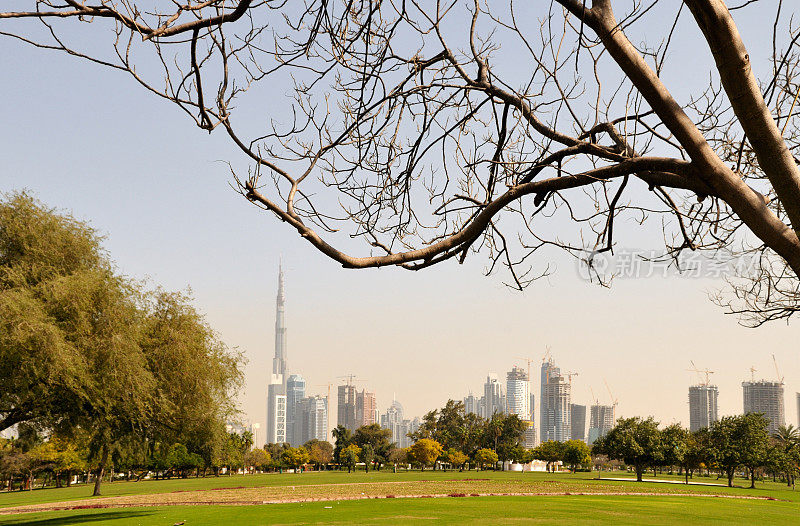 迪拜safa公园