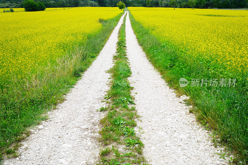 乡间小路