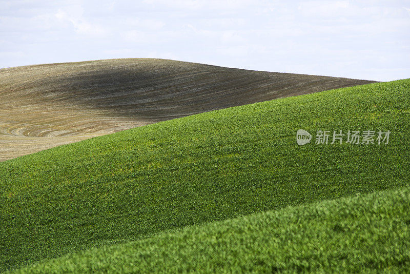 金色日落在田园诗般的农田景观