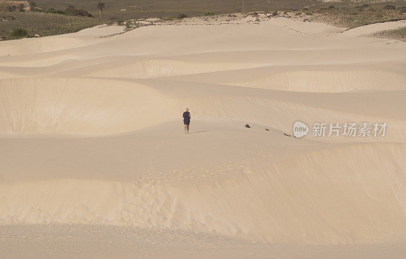 沙漠中行走的人的后视图
