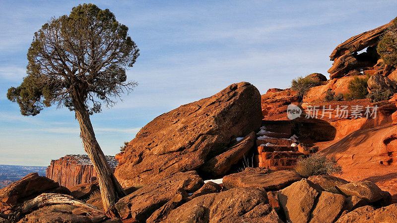 刺柏树，红岩石侵蚀破碎的巨石，楼梯，峡谷地，犹他州