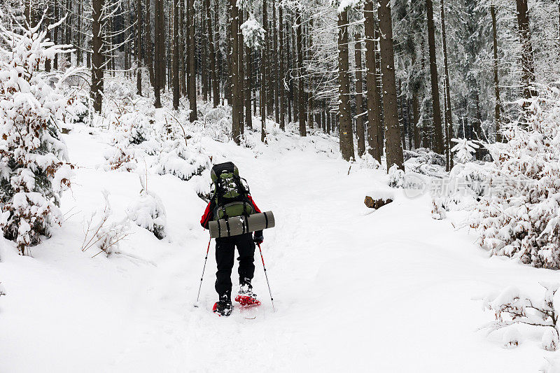 在冬季森林里徒步旅行的人。