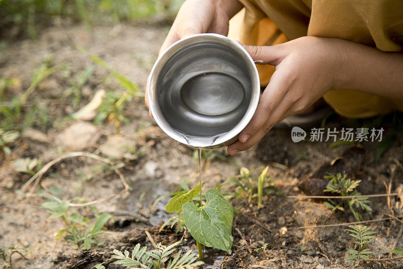 女孩浇灌植物