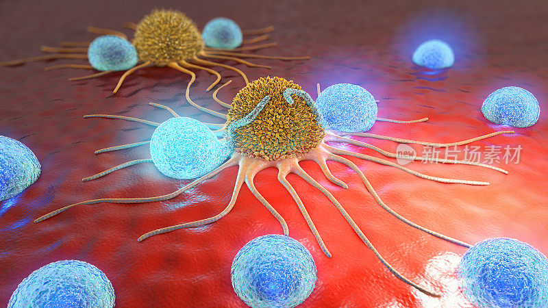 肿瘤细胞和淋巴细胞的3d插图