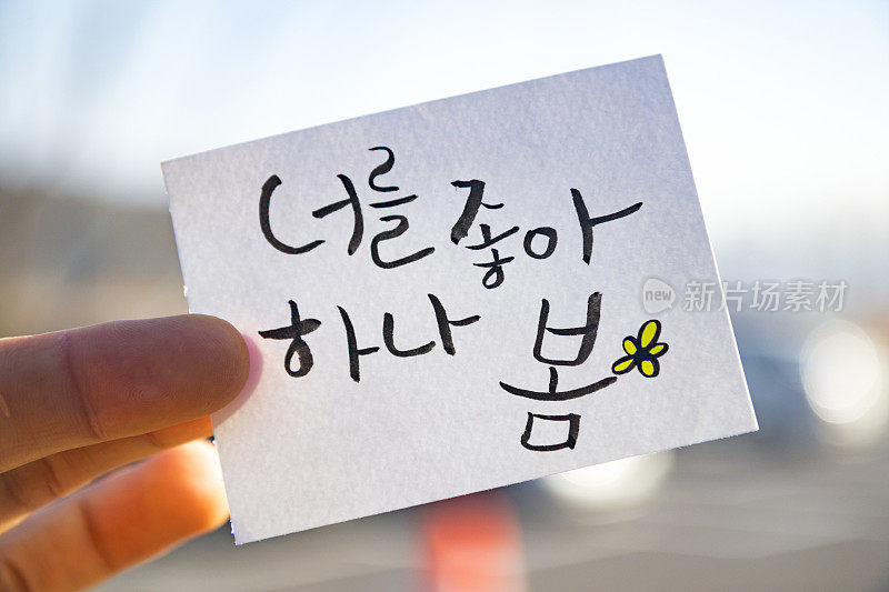 手指握着韩语书法:“我好像喜欢你”