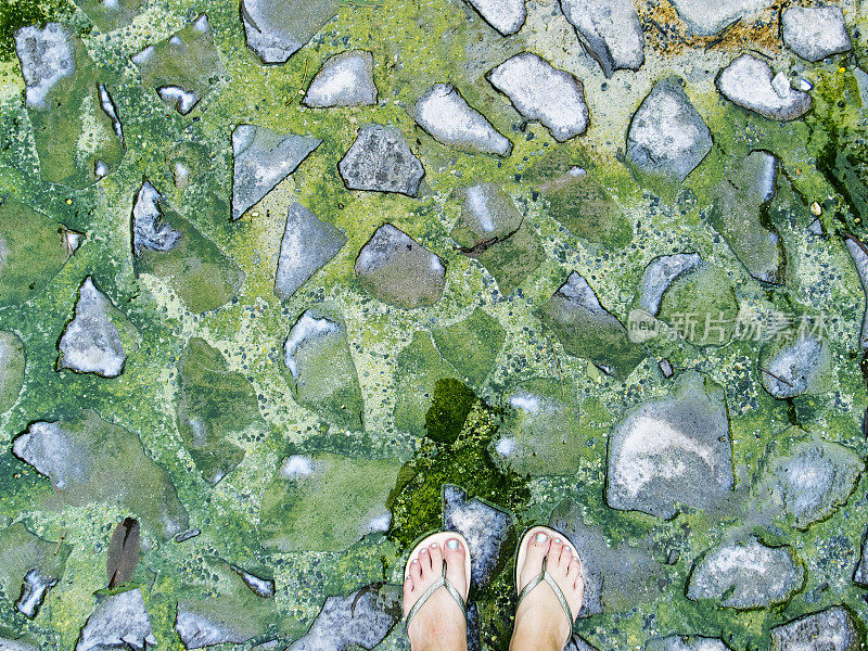 女人的脚在绿色的石头背景。苔藓石铺面纹理俯视图照片。