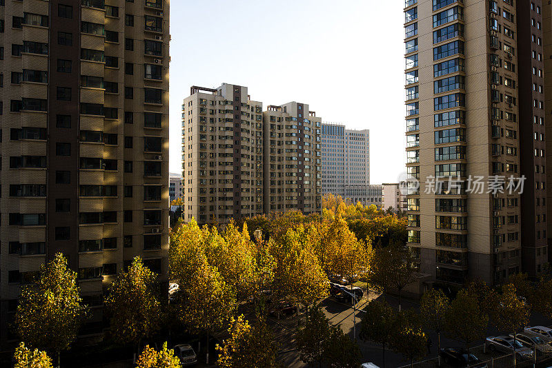 小区秋景