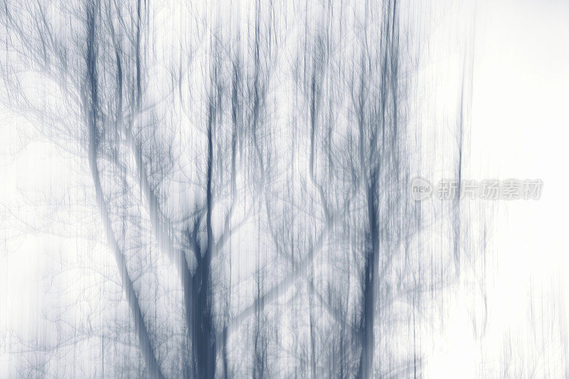树木-长曝光与模糊运动