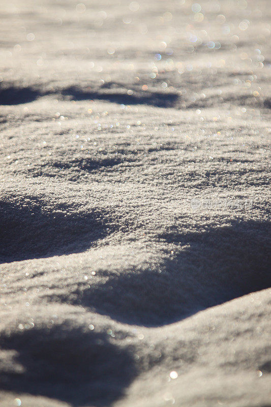 阳光下的雪毯