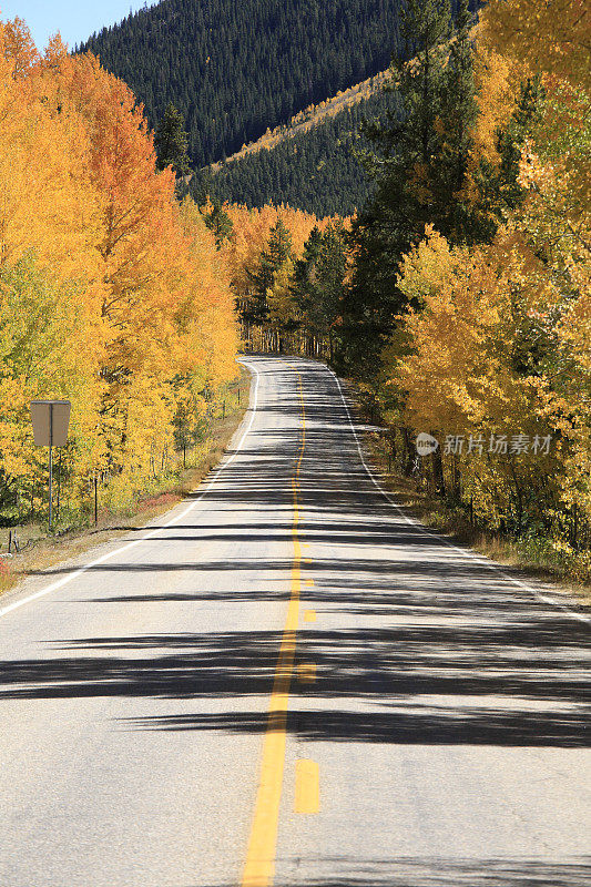 秋天:岩石山美国82号公路沿线的金色树木